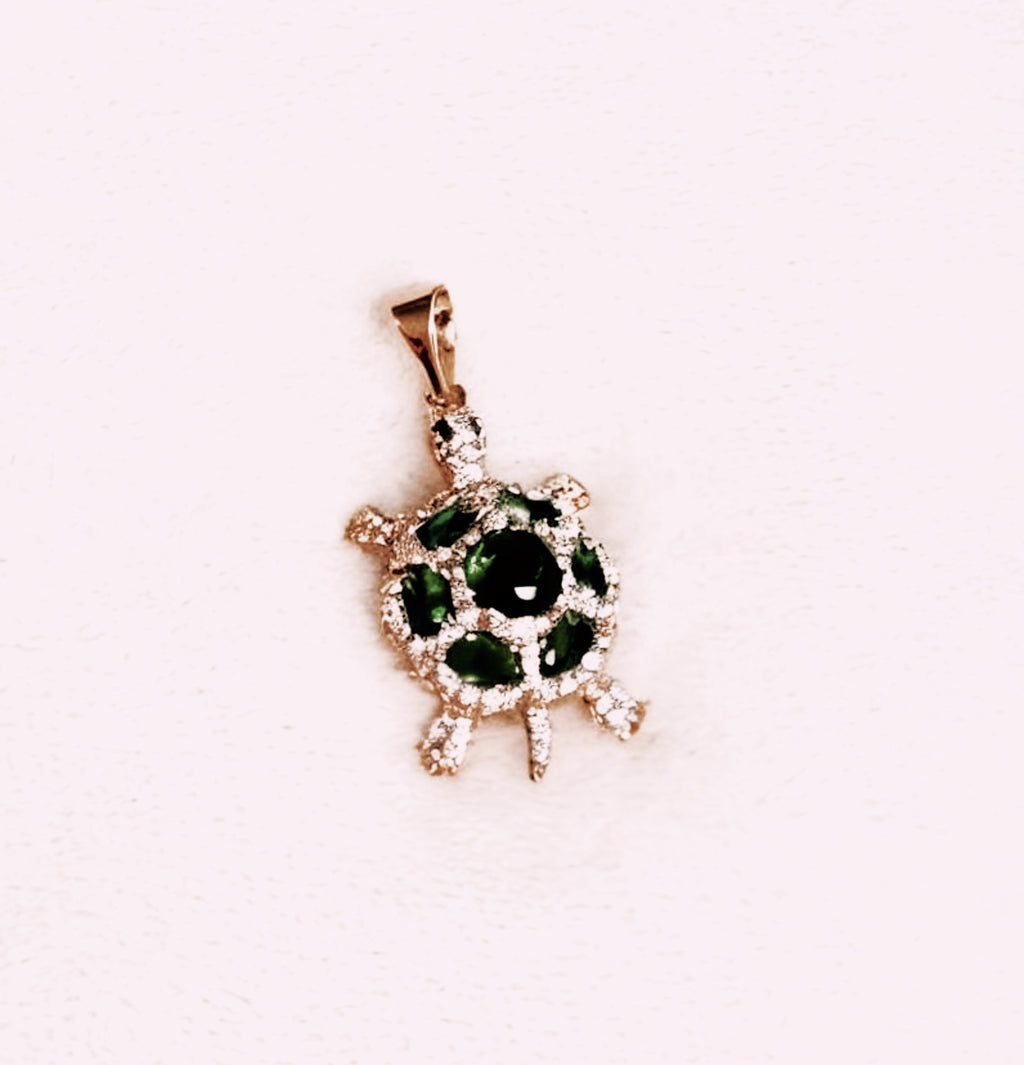 Tortuga de la suerte